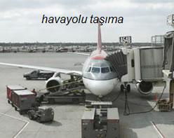 havayolu tama